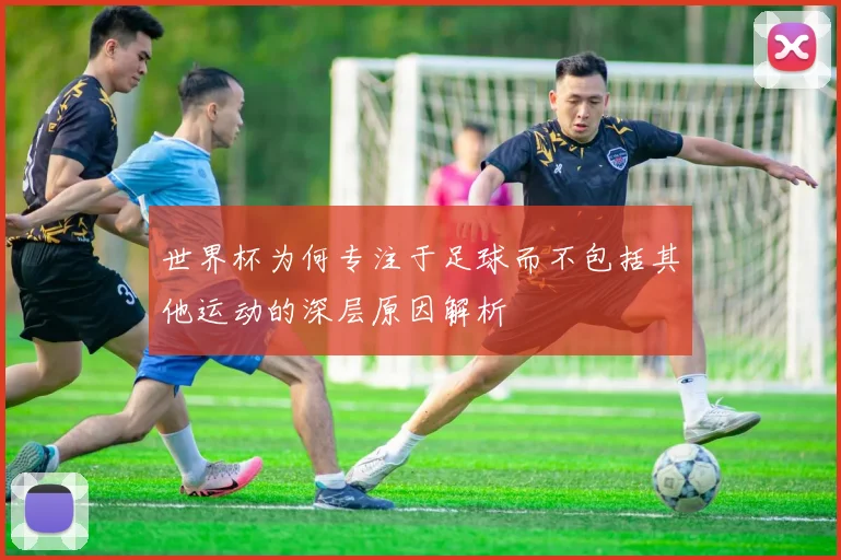 世界杯为何专注于足球而不包括其他运动的深层原因解析