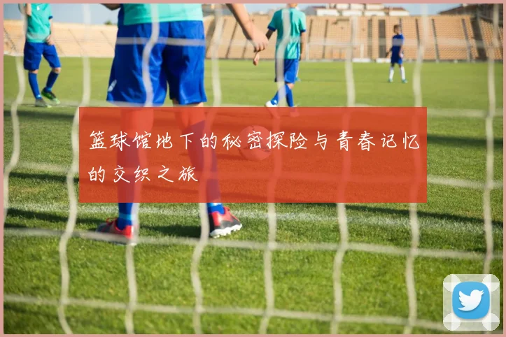 篮球馆地下的秘密探险与青春记忆的交织之旅