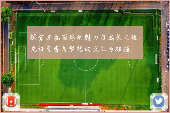 探索亦鹿篮球的魅力与成长之路，见证青春与梦想的交汇与碰撞
