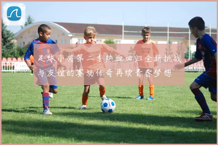 足球小将第二季热血回归全新挑战与友谊的赛场传奇再续青春梦想