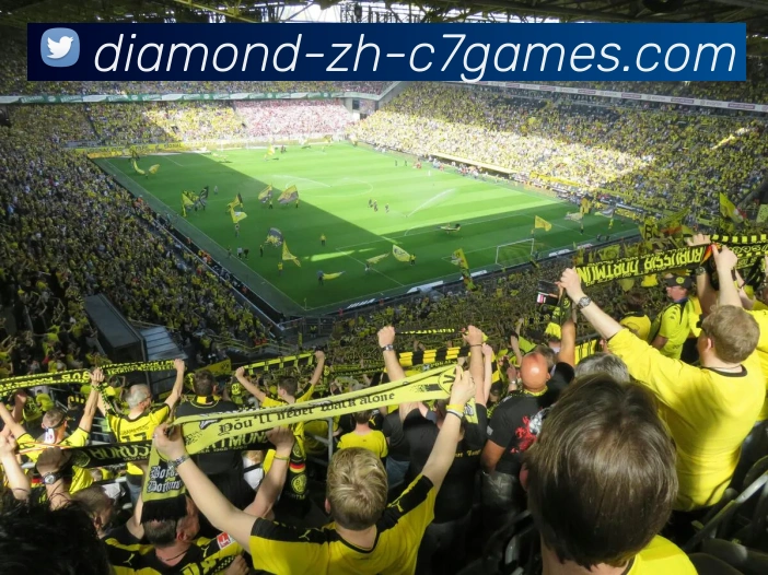 C7娱乐平台生态图