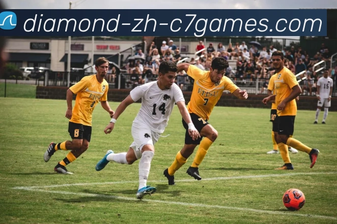 C7娱乐APP 封面图